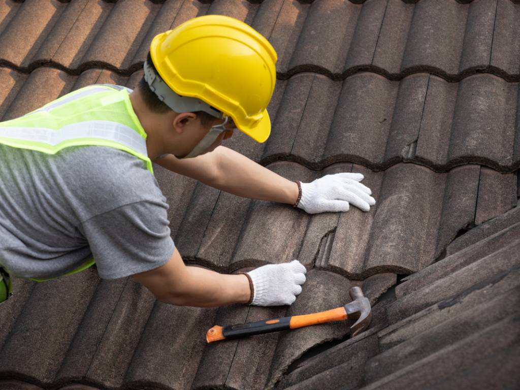 Roof Maintenance